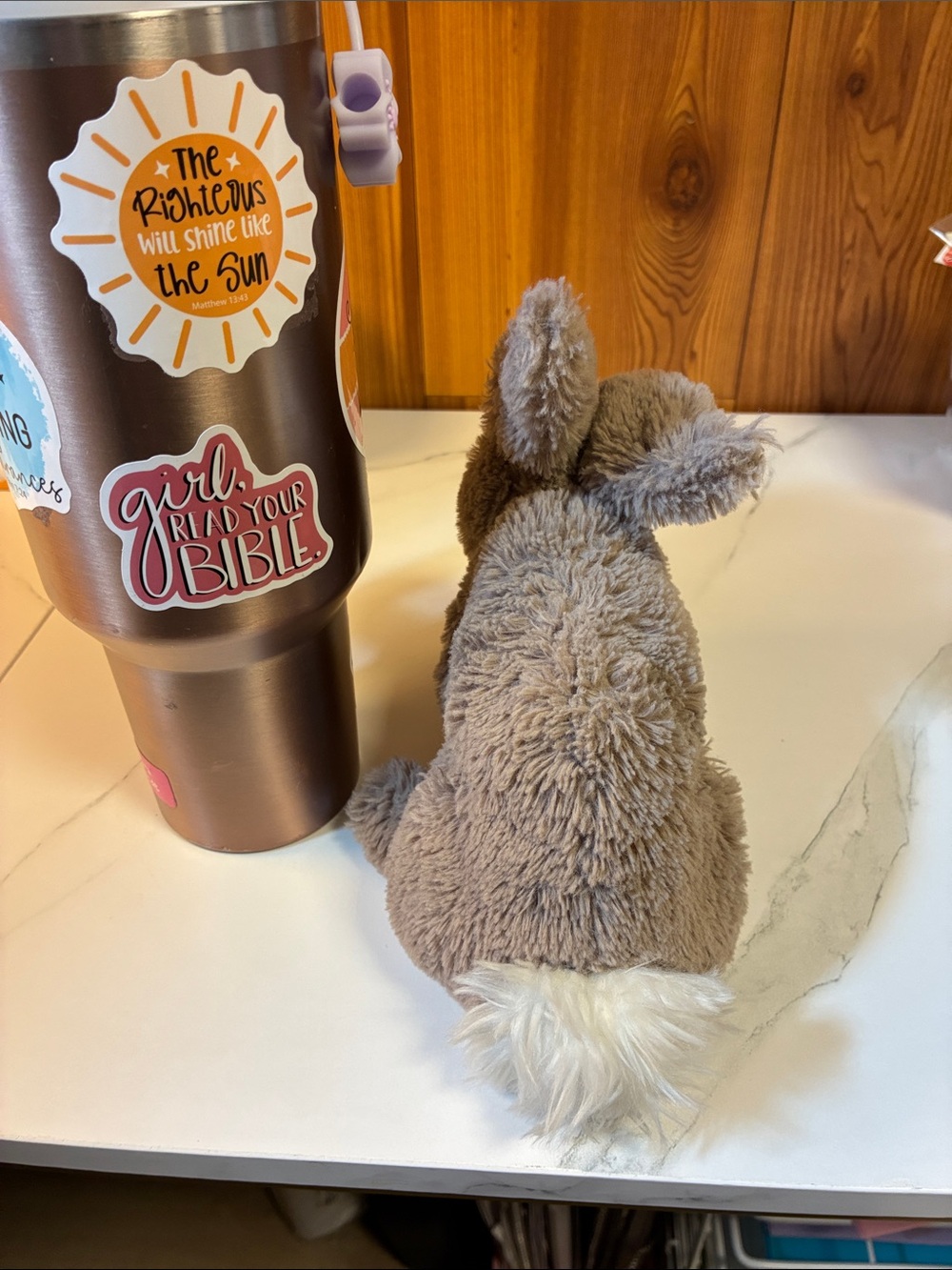 Jellycat Riley Beige Rabbit soft plush toy 8” - Picture 10 of 10